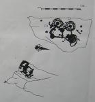 Debuxos dos petroglifos de Piñeiral de&nbsp;Caeiro.