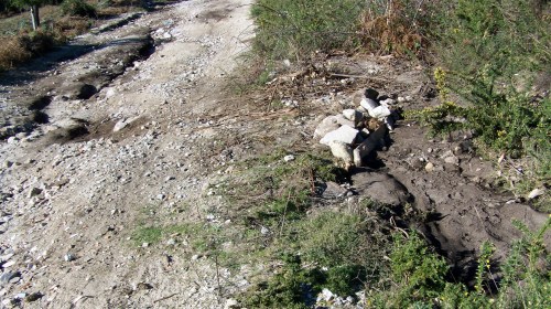 O principal rego polo que se canaliza a auga, completamente atoado de terra e broza.