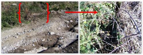 O rego atascouse polo exceso de broza arrastrada e a auga foi por fóra, inundando o camiño e provocando sucos que volveron o terreo moi irregular.