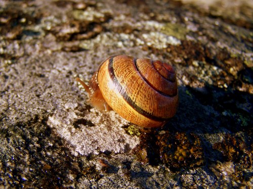Monte Pituco, abril de 2014.