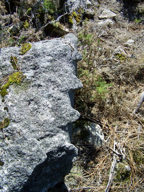 Os "dentes" que deixaron marcadas na pedra as cuñas cravadas nunha pedra que foi traballada polos canteiros de antano.