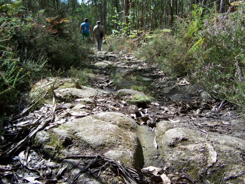 A riqueza cultural e histórica do monte, reflectido tamén na marca que deixaron as rodas dos carros do país nas corredoiras que pasan polo monte. 