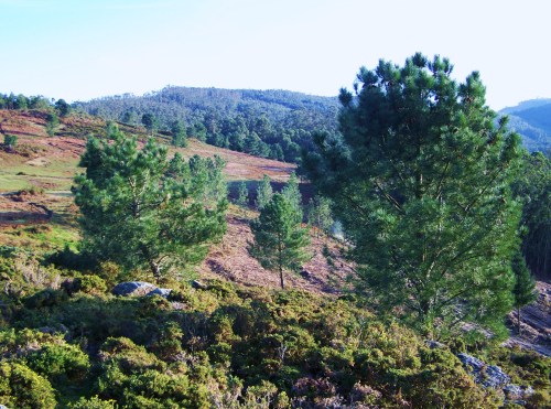 Imaxe do monte comunal de San Xulián dende o Alto do Pornedo.