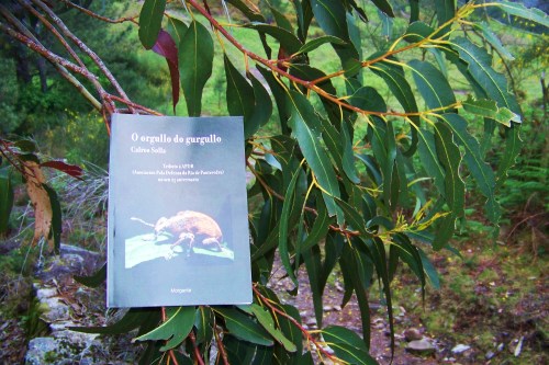 "O orgullo do gurgullo", de Calros Solla (Morgante, 2012).