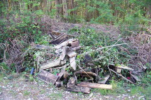 Verquido de madeiras e restos de poda, na pista de acceso ao Pornedo. Foto de abril de 2012.