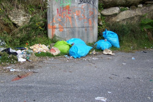 Verquido no Monte Pornedo, tralo túnel de acceso dende O Caeiro. Foto de abril de 2012.
