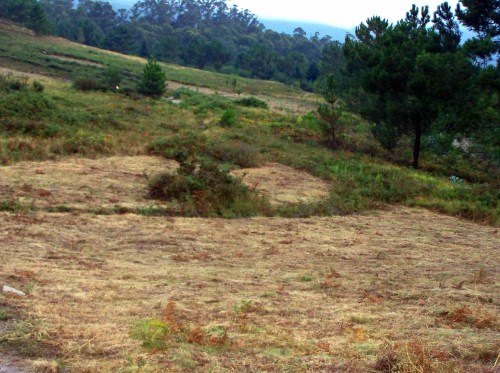 O Alto do Pornedo volve recuperar o uso agrícola.