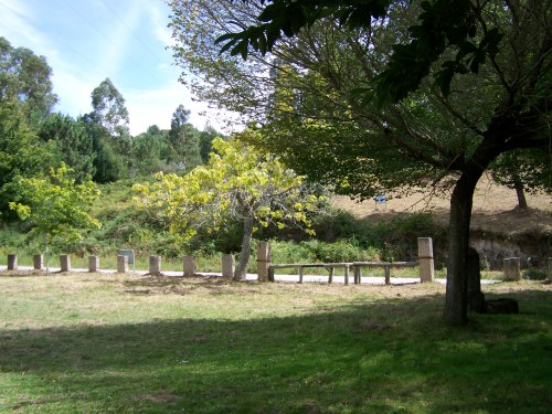 O novo look da área arborada a carón do Monte Pituco e da estrada de Figueirido.
