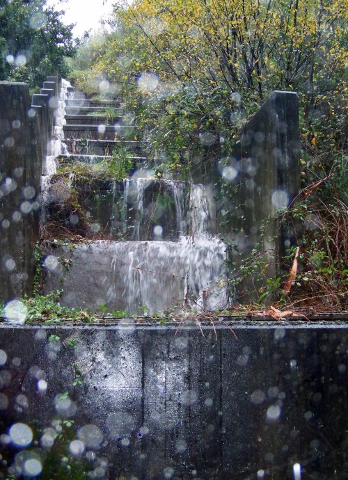 A auga que baixa dende o Monte Pituco cara ás veigas.