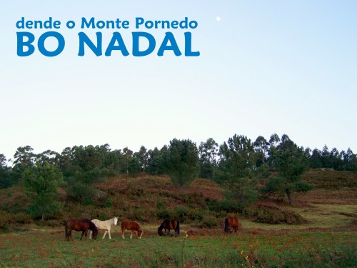 Dende o Monte Pituco, BO NADAL.