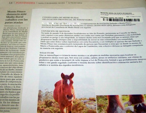 La Voz, sobre o escrito presentado na Delegación da Xunta sobre os cabalos coas patas atadas.