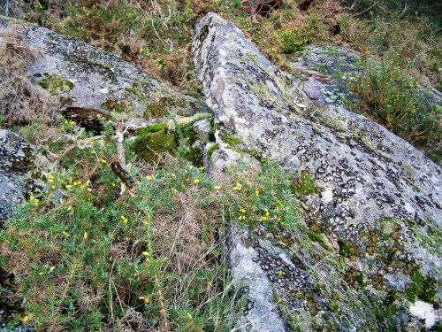 Antiga canteira nas cercanías do Monte Pituco.