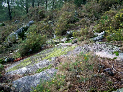 Antiga canteira nas cercanías do Monte Pituco.
