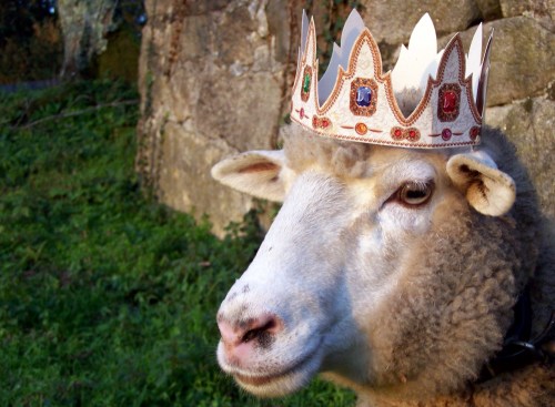 Xa chegaron os Reis ao Monte Pituco.