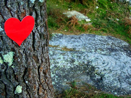 14 de febreiro no Monte Pituco.