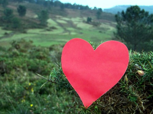 14 de febreiro no Monte Pituco.