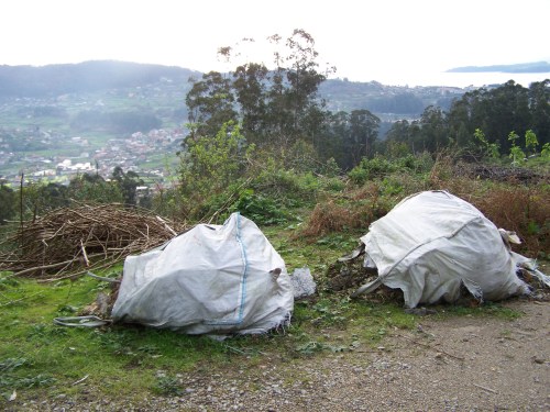 Verquido ILEGAL atopado no Monte Pituco este mes de febreiro.