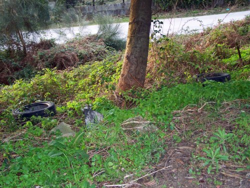 Na entrada da pista ao Monte Pituco.