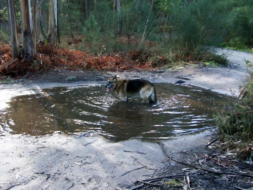 Na encrucillada dos Sete Camiños.