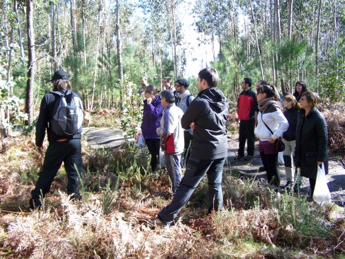 Lugar no que se localiza a mámoa de Sete Camiños, recentemente descuberta.