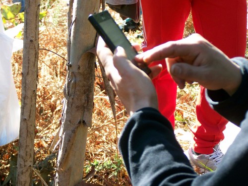 Empregando as novas tecnoloxías para sinalizar a ruta.