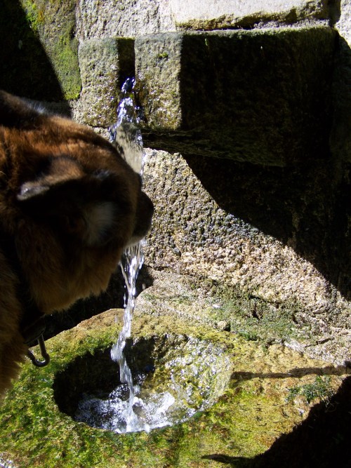 Calmando a sede na Fonte da Prata.