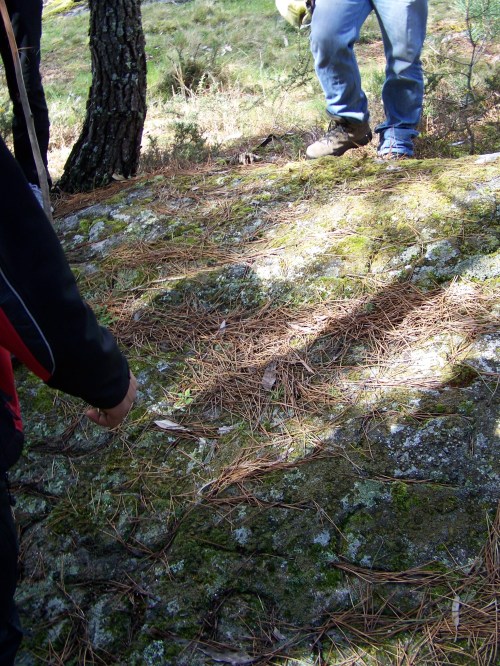 Tamén reparamos nos petroglifos modernos de Pepito Meijón.