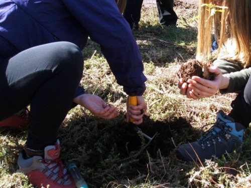 Celebrando por anticipado o Día da Árbore (foto, Almuinha).