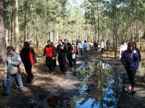 Polos sendeiros do Espazo Sete Camiños (foto, Almuinha).