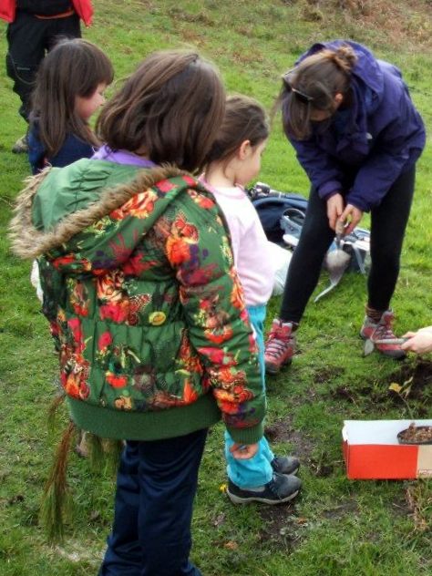 Educando no respecto á natureza (foto, Almuinha).