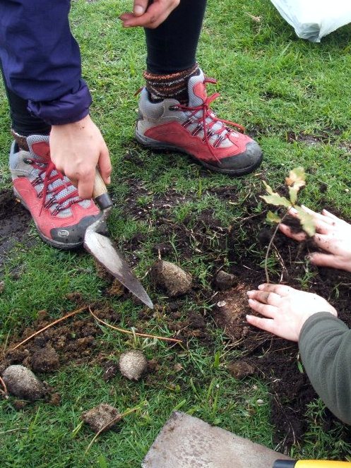 Novo habitante no Espazo Sete Camiños (foto, Almuinha).