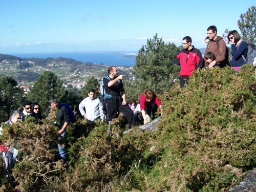No petroglifo dos Sete Camiños.