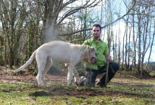 David Outeiro e Bran, cun teixo na zona de Bullón, Lugo.