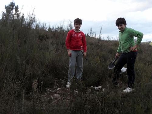 Un carballo no Monte Meda, Alto Támega, Ourense..