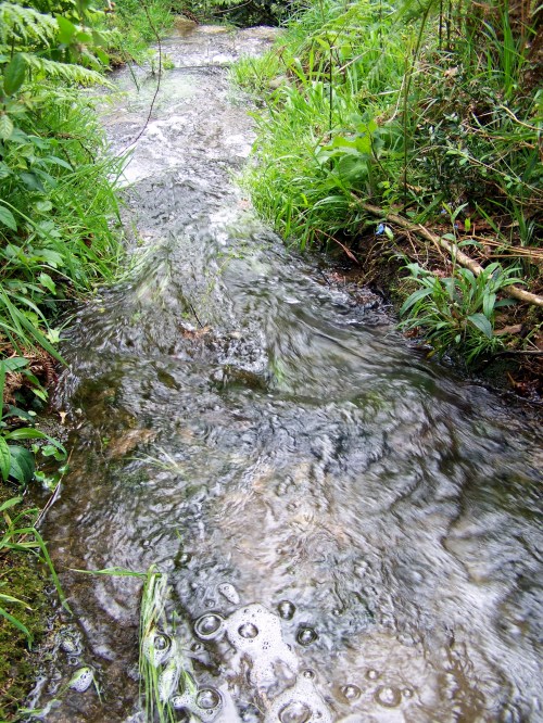 Río Pornedo (PXOM de Marn "dixit").