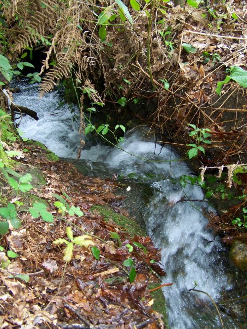 Regato do Pornedo (PXOM de Marín dixit).