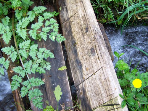 Pasos de madeira para cruzar o regato e acceder ás veigas da Curxeira.