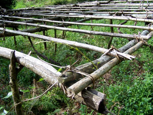Déitome na terra e sobe por min a súa esencia, a lene caricia do aire, o olor da herba fresca.  Circúlanme regatos, abrollan transparentes fontenlas dos meus ollos. Xorden da frente menceres luminosos.  Déitome na terra e alentan humildes margaridas. Canta un grilo ledo na miña man, escoito a sinfonía mineral dos seres diminutos, a sístole do mundo.  Acougan no meu corazón as andoriñas.  Déitome na terra e interpreto o seu poderoso signo.  Abandónome á súa querencia. Intégrome nela.