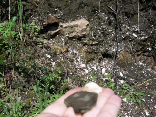 A carón da estrada, o concheiro da época castrexa, con restos de cerámica e lapas.