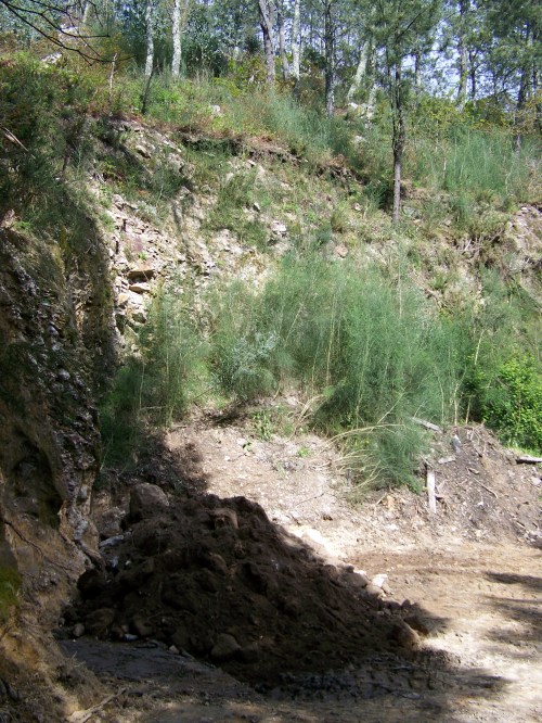 Non se supón que no ámbito dun castro hai un perímetro de protección?