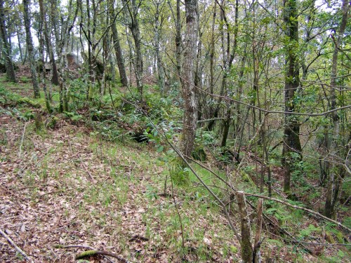 Pola muralla do castro da Subidá.