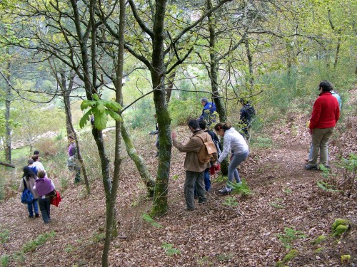 Baixando á zona restaurada do castro da Subidá.