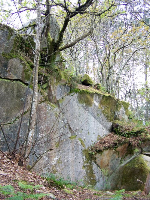 Restos dunha canteira no espazo do castro.