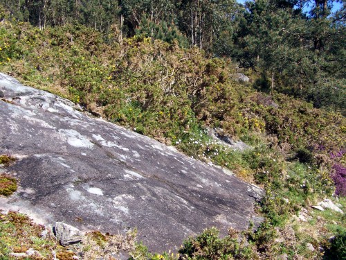 Petroglifos de Sete Camiños.