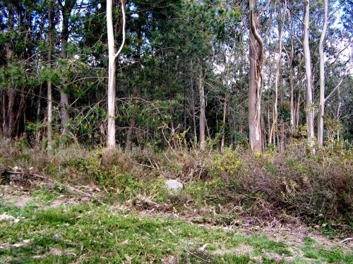 Mámoa de Catadoiro.