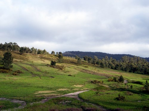 Monte Pornedo, afectado polo proxecto de construcción dun polígono industrial.