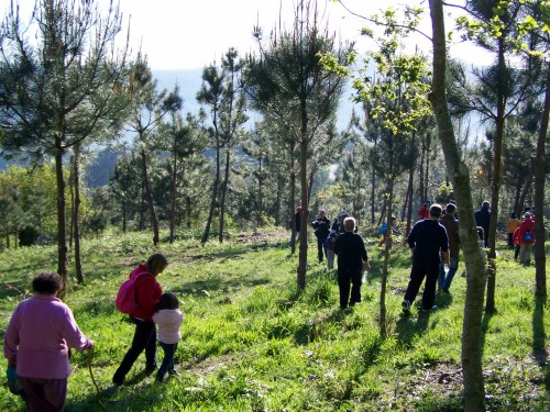Visita ao Monte de Salcedo organizada pola Comunidade de Montes.