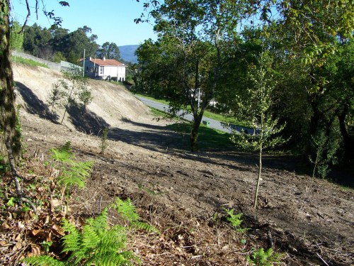Visita ao Monte de Salcedo organizada pola Comunidade de Montes.