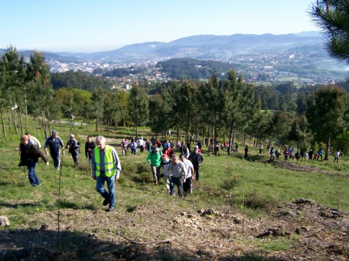 Visita ao Monte de Salcedo organizada pola Comunidade de Montes.