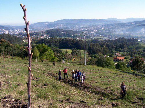 Visita ao Monte de Salcedo organizada pola Comunidade de Montes.